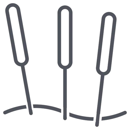 /contemporary-medical-acupuncture